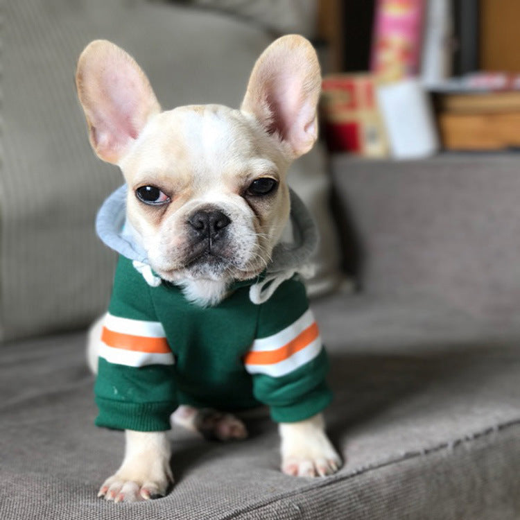 Pet Sweater - Cosy and Stylish Knitwear - Bulldog in Green