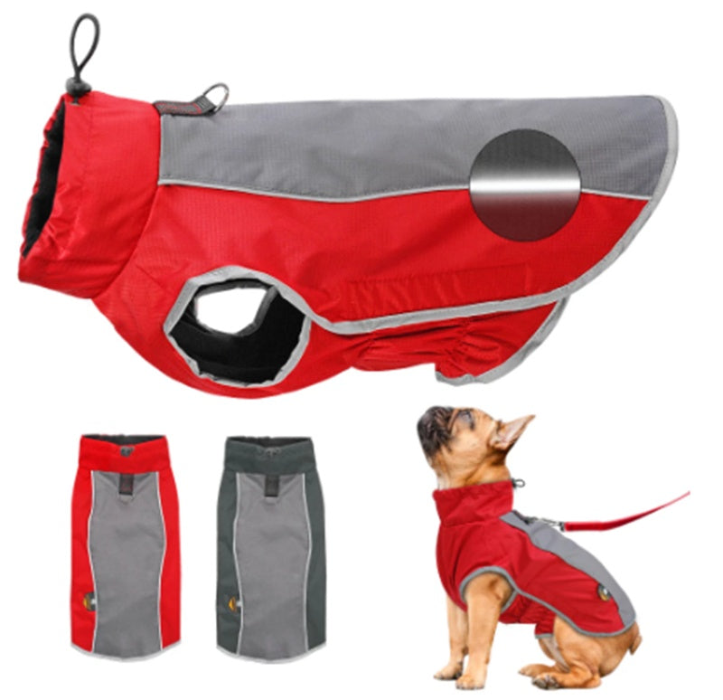 Outdoor Waterproof Raincoats - French Bulldog