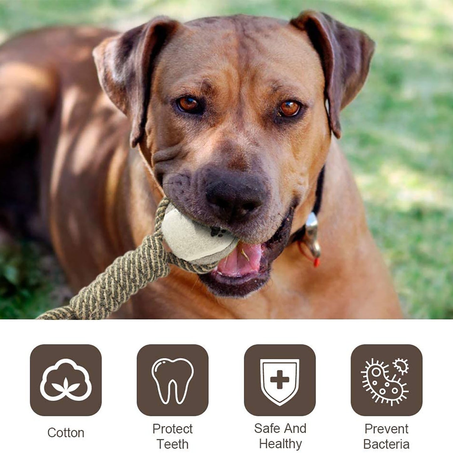 Cotton Rope Mini Dog Toys