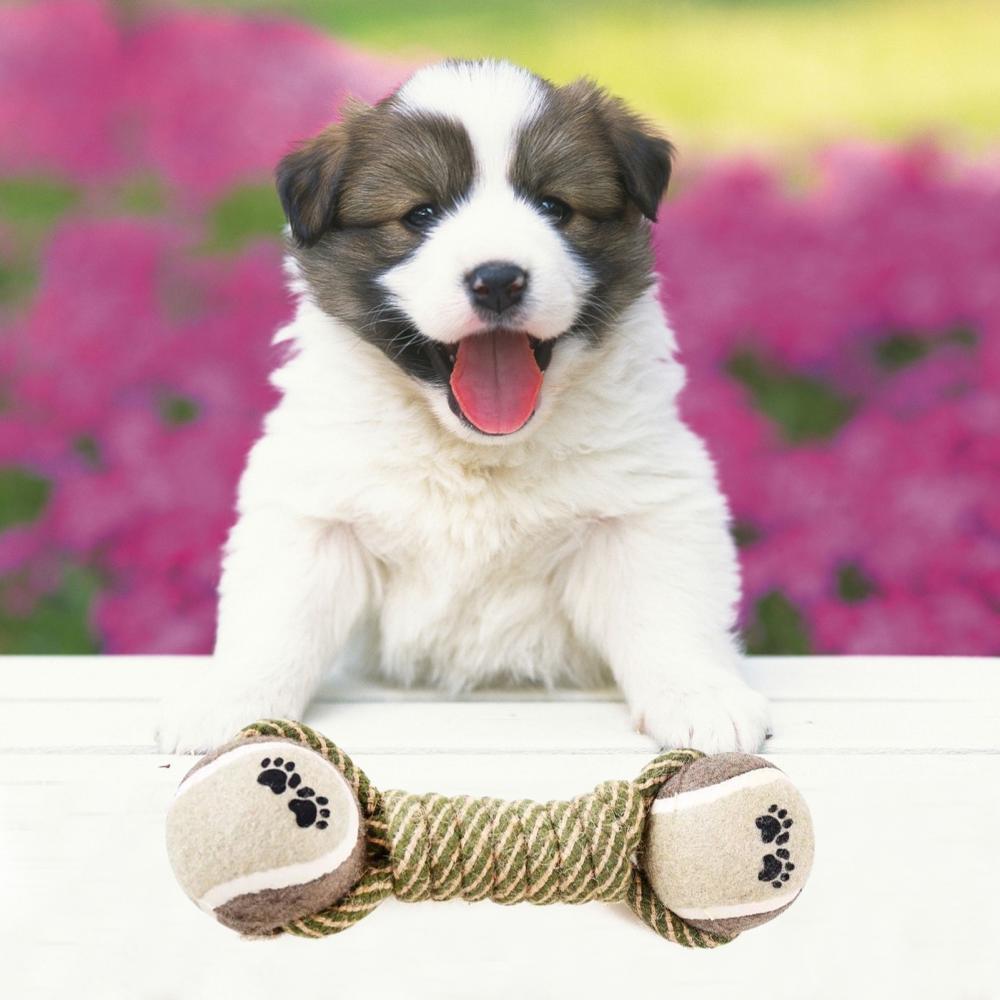 Puppy with Cotton Rope Mini Dog Toy