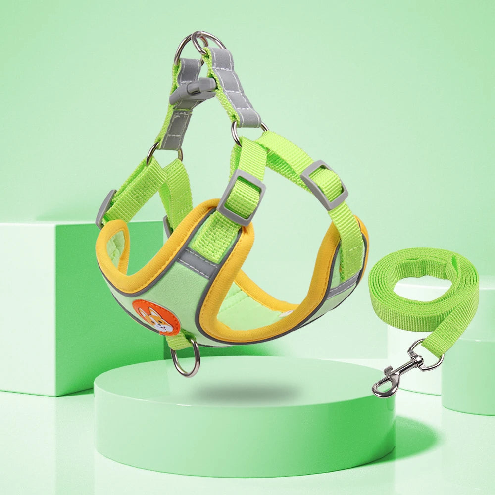 Stylish and functional dog harness set with easy-to-use leash attachment