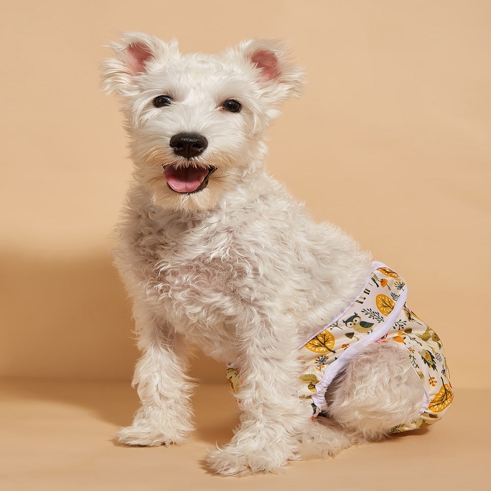 Female Dog Diapers