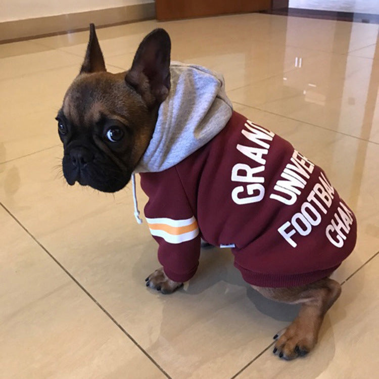 Pet Sweater - Cosy and Stylish Knitwear - French Bulldog in Red