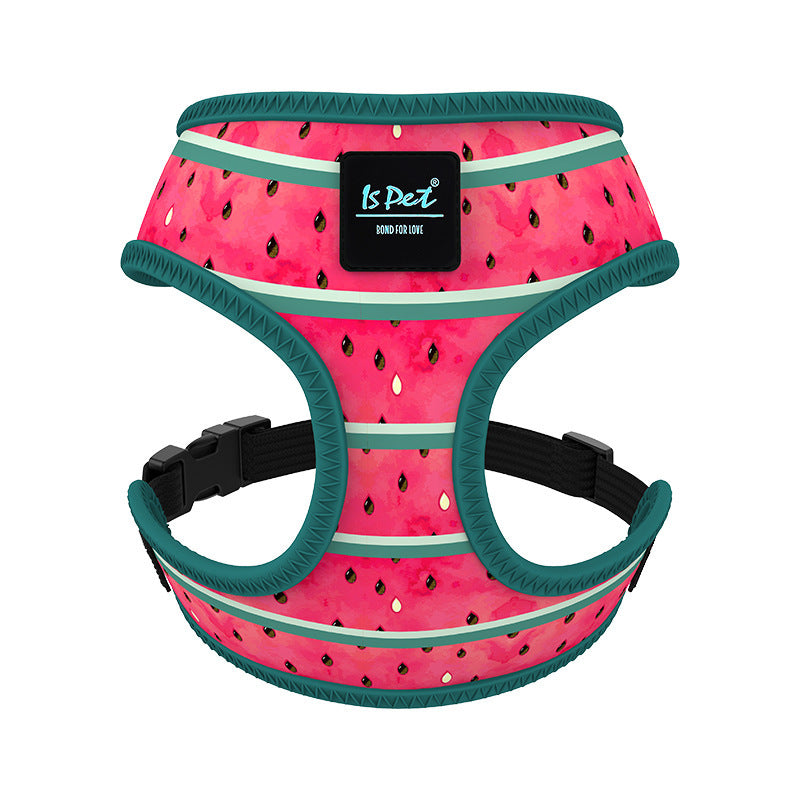 Comfortable dog outing vest style harness in vibrant colours