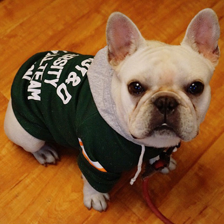 Pet Sweater - Cosy and Stylish Knitwear - French Bulldog in Green
