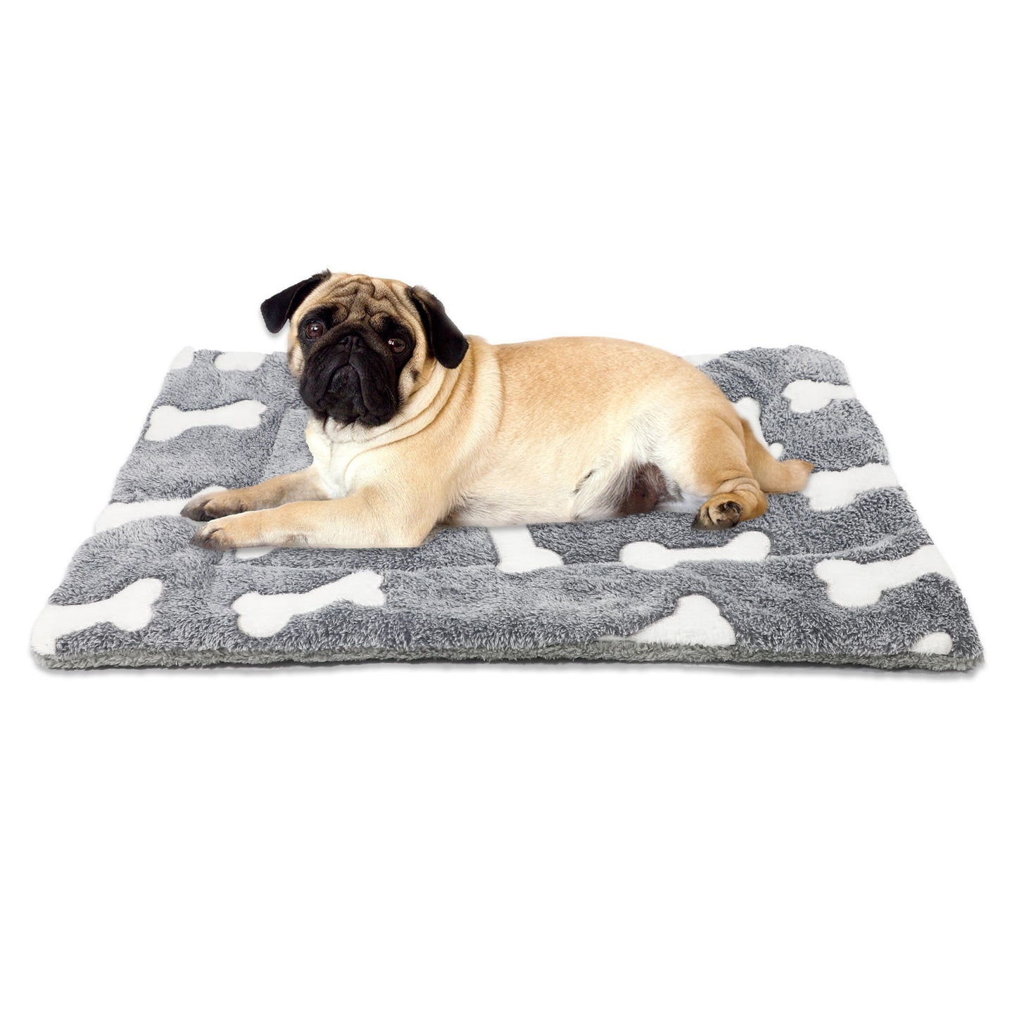 https://maxandmaisypetstore.com.au/