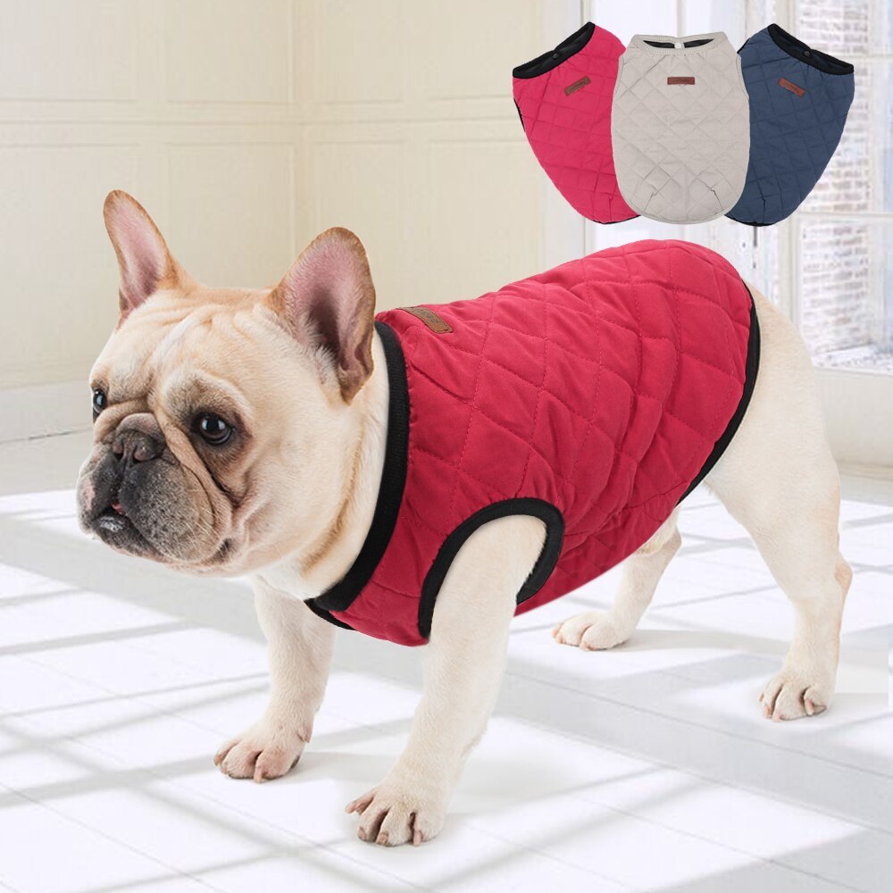 Dog Vest – Comfortable & Stylish Everyday Wear