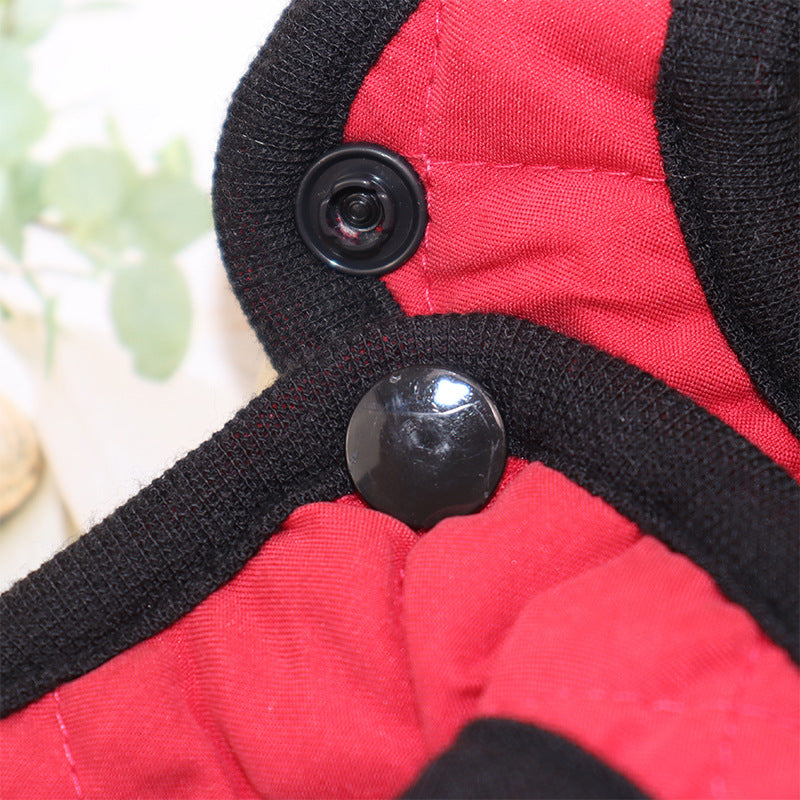 Dog Vest – Comfortable & Stylish Everyday Wear