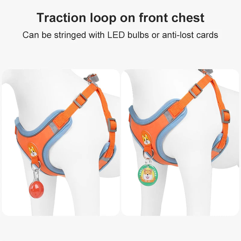 Stylish and functional dog harness set with easy-to-use leash attachment