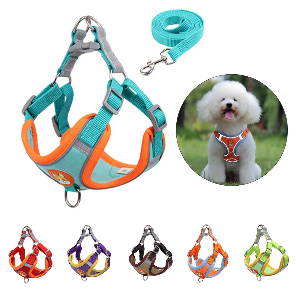 Reflective small dog harness and leash set for safe walks