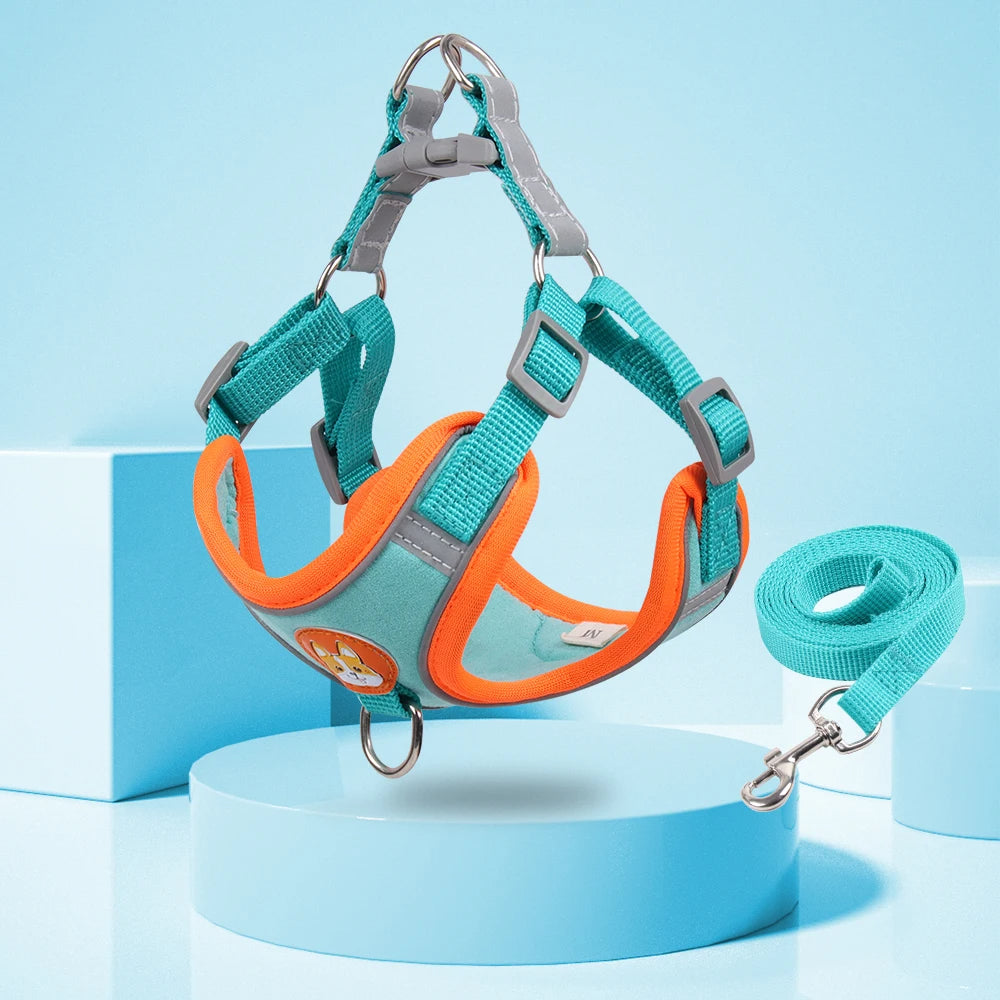 Stylish and functional dog harness set with easy-to-use leash attachment