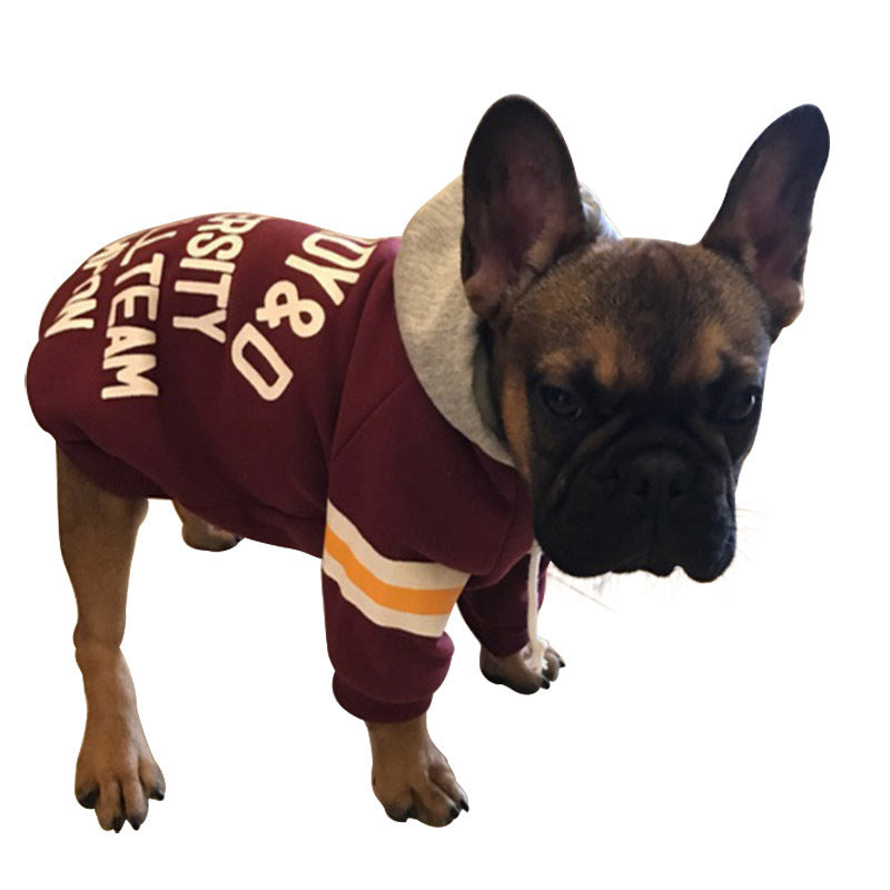Pet Sweater - Cosy and Stylish Knitwear- French Bulldog in Red