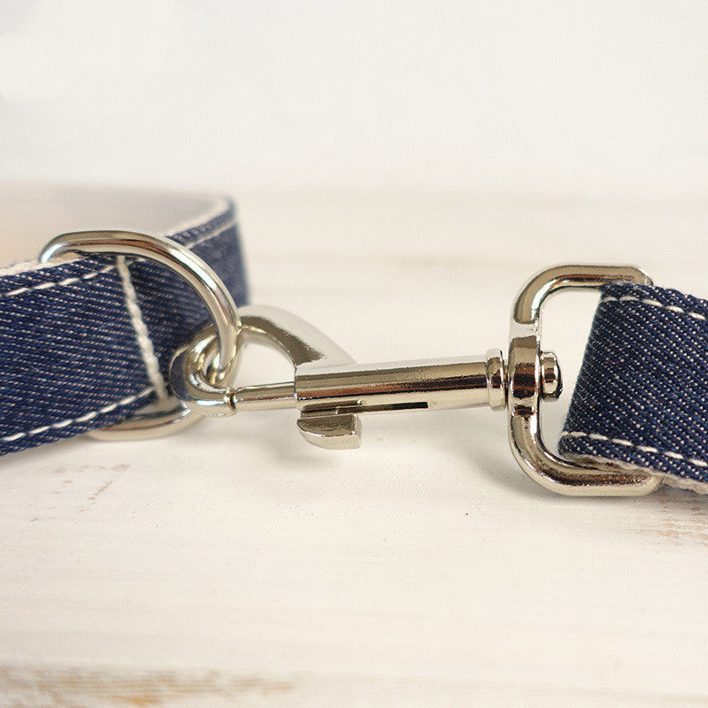Denim Collar and Lead