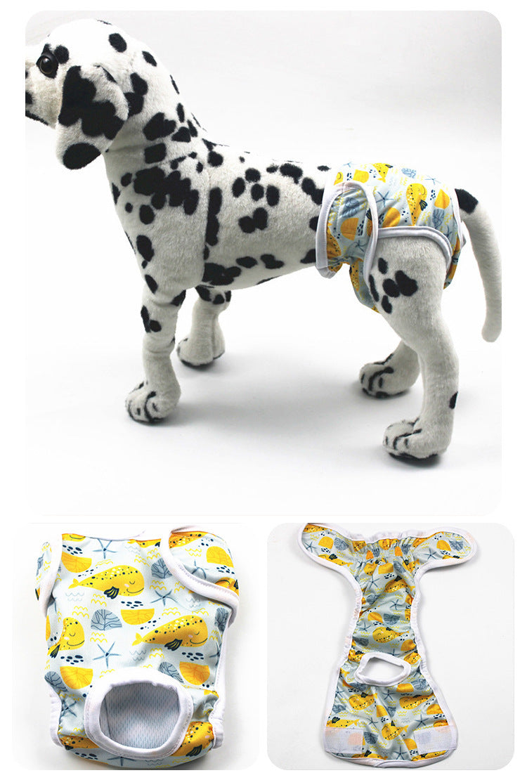 Female Dog Diapers - Gato