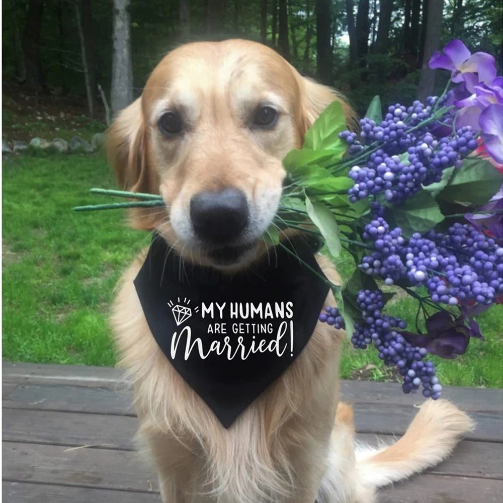 Dog Wedding Bandana