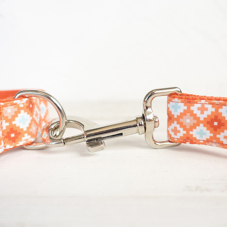 Stylish Orange Dog Collar and Lead Set