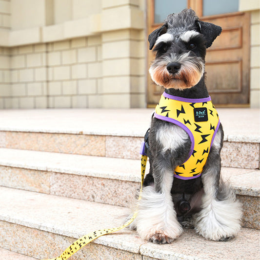 Comfortable dog outing vest style harness in vibrant colours