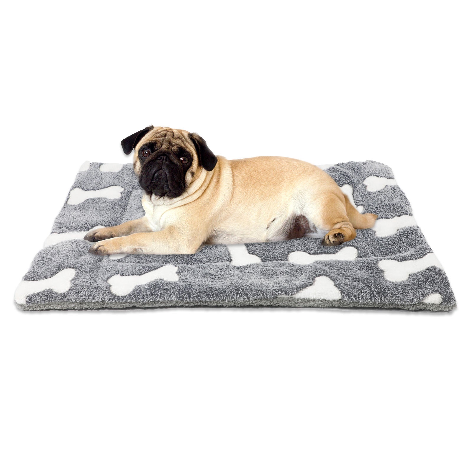 https://maxandmaisypetstore.com.au/