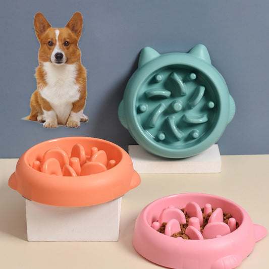 Slow Feeder Bowl - Orange, Pink and Green