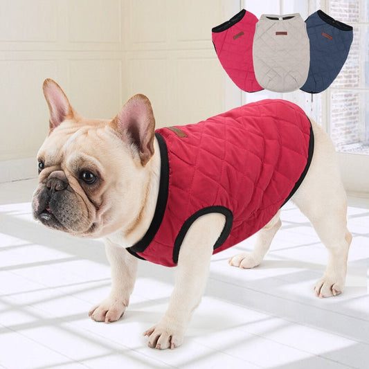 Dog Vest – Comfortable & Stylish Everyday Wear