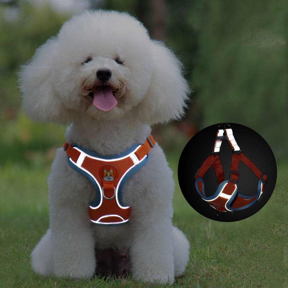 Reflective small dog harness and leash set for safe walks