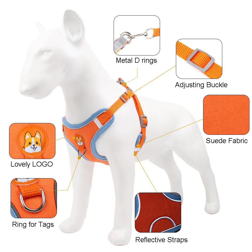 Stylish and functional dog harness set with easy-to-use leash attachment