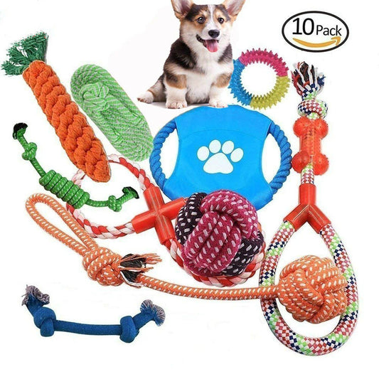 Pet Toy Combination Set – Endless Fun for Happy, Healthy Dogs