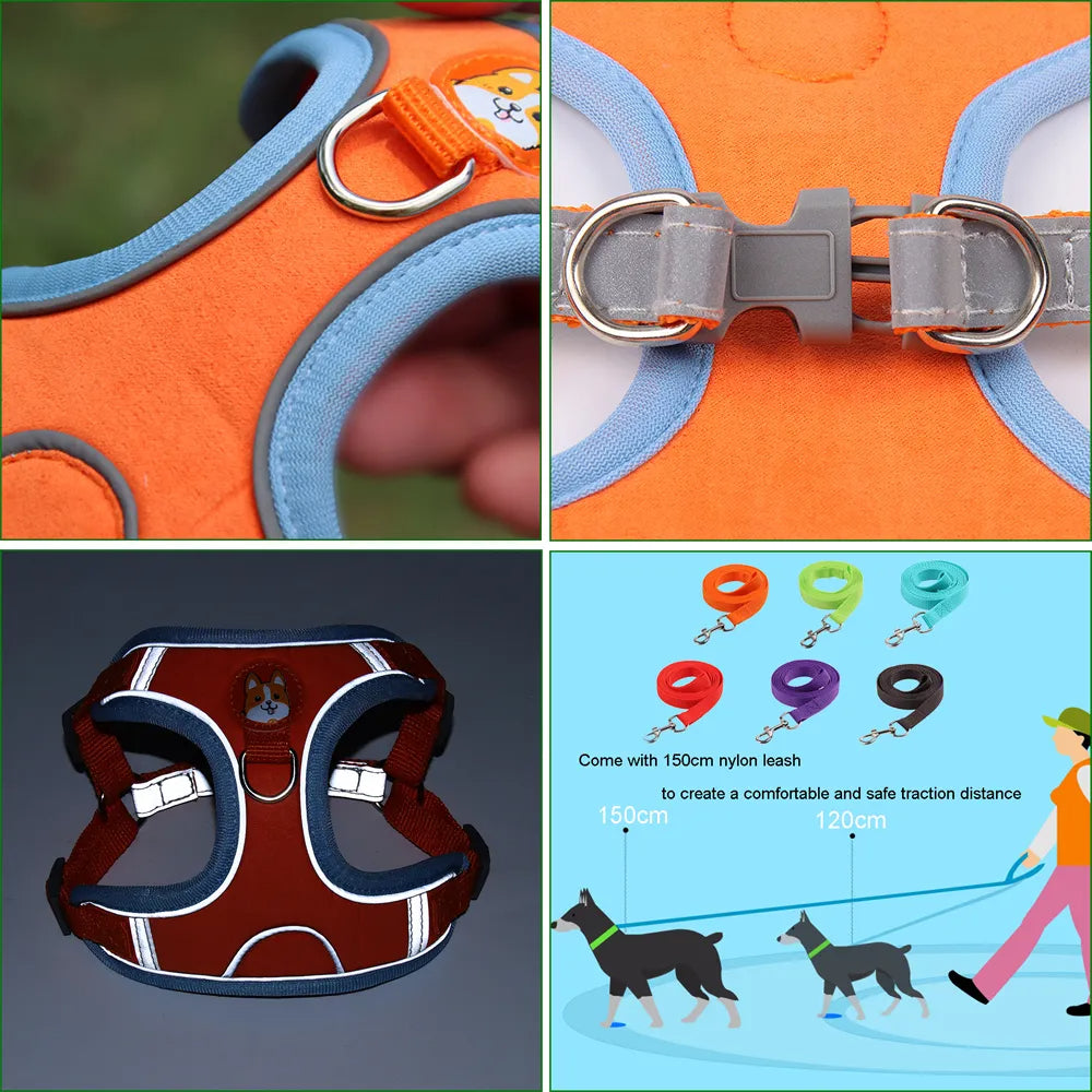 Stylish and functional dog harness set with easy-to-use leash attachment