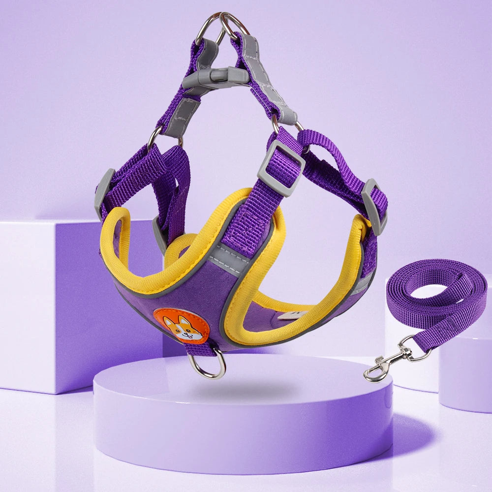 Stylish and functional dog harness set with easy-to-use leash attachment