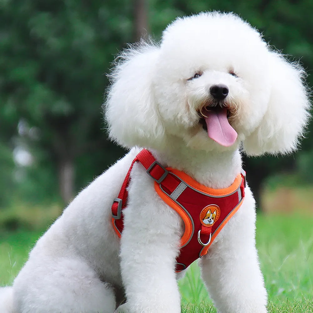 https://maxandmaisypetstore.com.au/