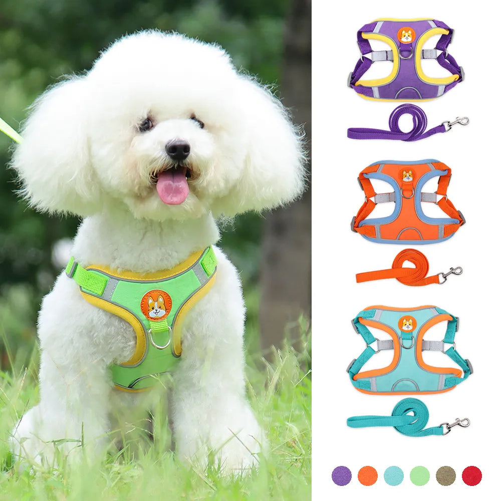 Comfortable dog outing vest style harness in vibrant colours