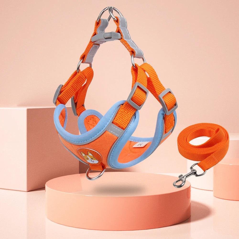 Stylish and functional dog harness set with easy-to-use leash attachment