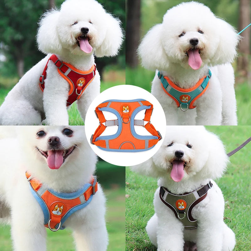 Stylish and functional dog harness set with easy-to-use leash attachment