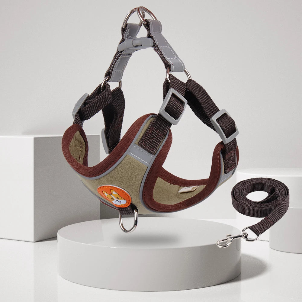 Stylish and functional dog harness set with easy-to-use leash attachment