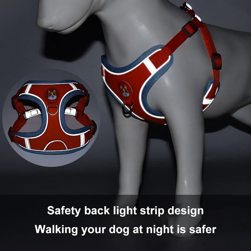 Reflective small dog harness and leash set for safe walks