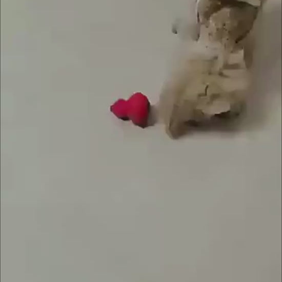 Biting And Grinding Teeth Pet Toy - Video